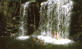 waterfall.JPG (44898 bytes)