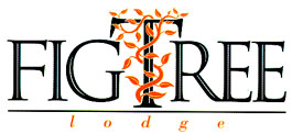 logo.JPG (18024 bytes)
